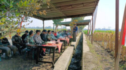 Posramil Selopuro Panen Jagung Bersama Di Dusun Kebonrejo