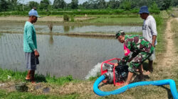 Babinsa Nglegok Dan Poktan Sido Makmur 1 Pastikan Ketersediaan Air Dengan Pompanisasi