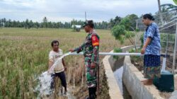 Dampak Dari Pembuatan TMAB Pertanian Bagi Petani Sudah Bisa Dirasakan