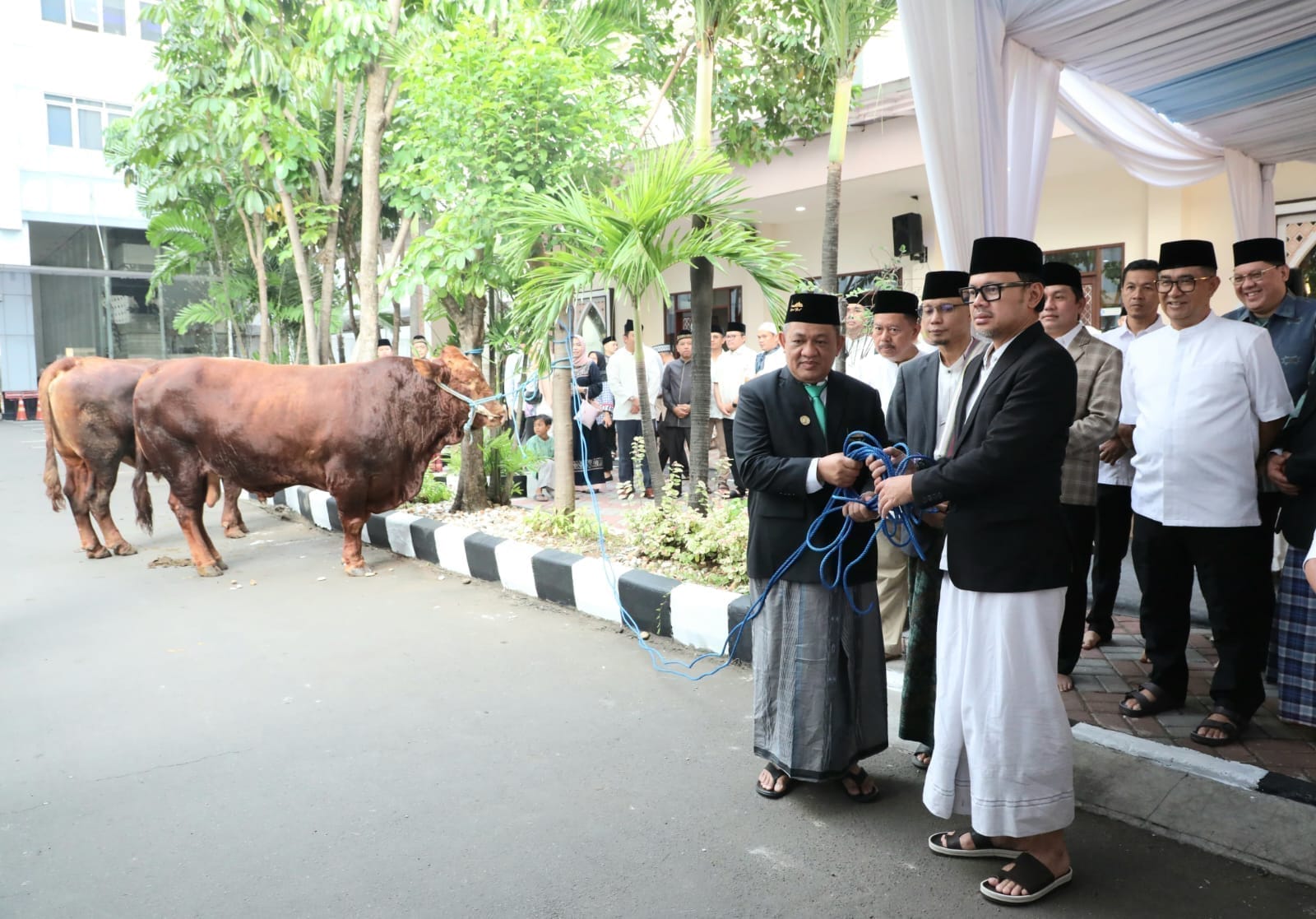 Serahkan Hewan Kurban Kemendagri dan BNPP, Wamendagri Bima Ajak Pegawai Perkuat Kepedulian dan Kebersamaan