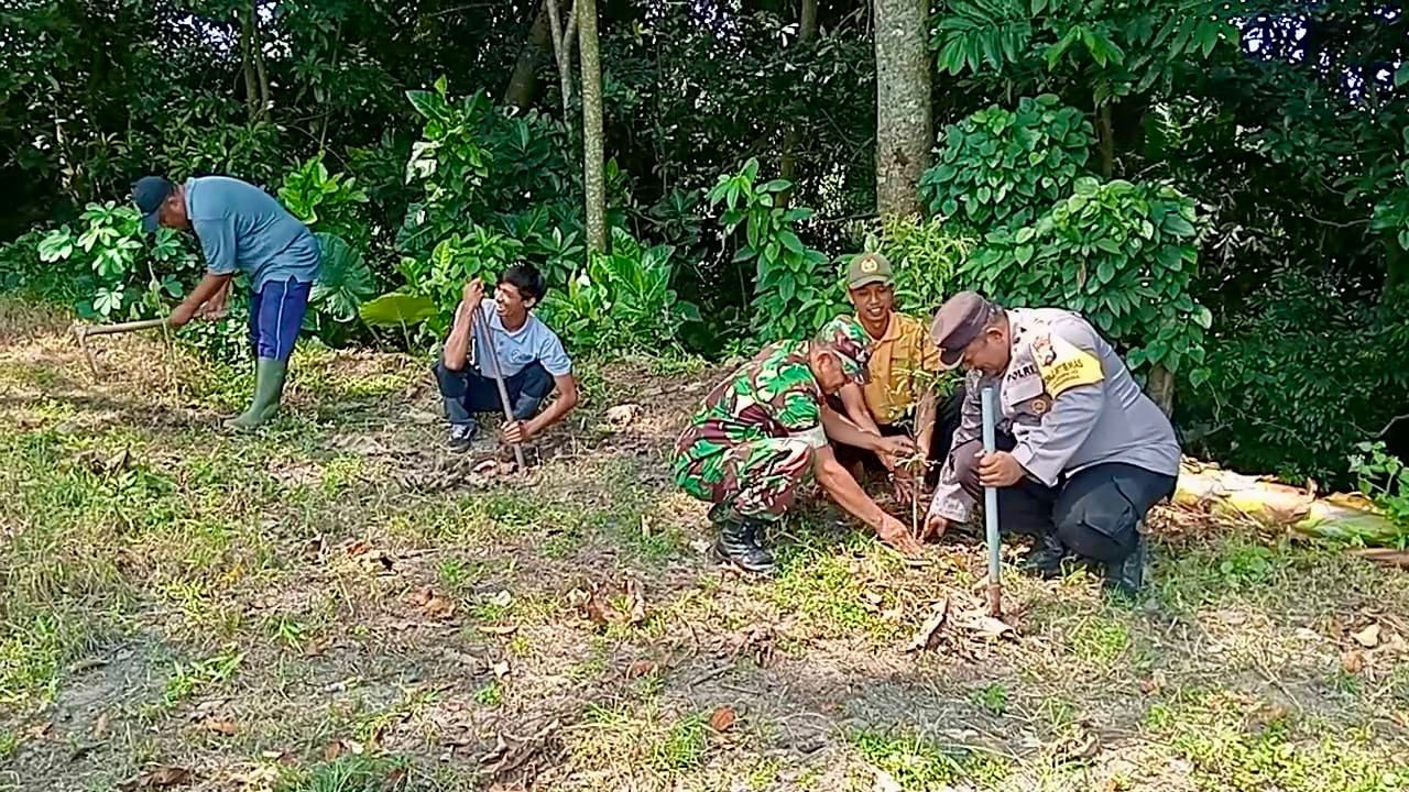 Babinsa Ngadirejo Ajak Warga Tanam Pohon Saman Untuk Lestarikan Sumber Mata Air