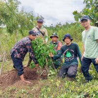 Dukung Penghijauan di Wilayah Binaan, Babinsa Desa Bumiayu Laksanakan Penanaman Pohon Bersama