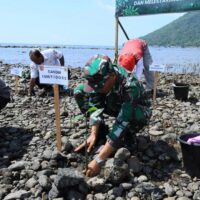 FB_IMG_1764151506690 Wujud Kepedulian pada Kelestarian Lingkungan, Kodim 1505/Tidore Gelar Penanaman Mangrove