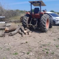 Hutan Gundul, Pelaku Bebas, Kasus Mandek — Potret Buram Penegakan Hukum di Probolinggo