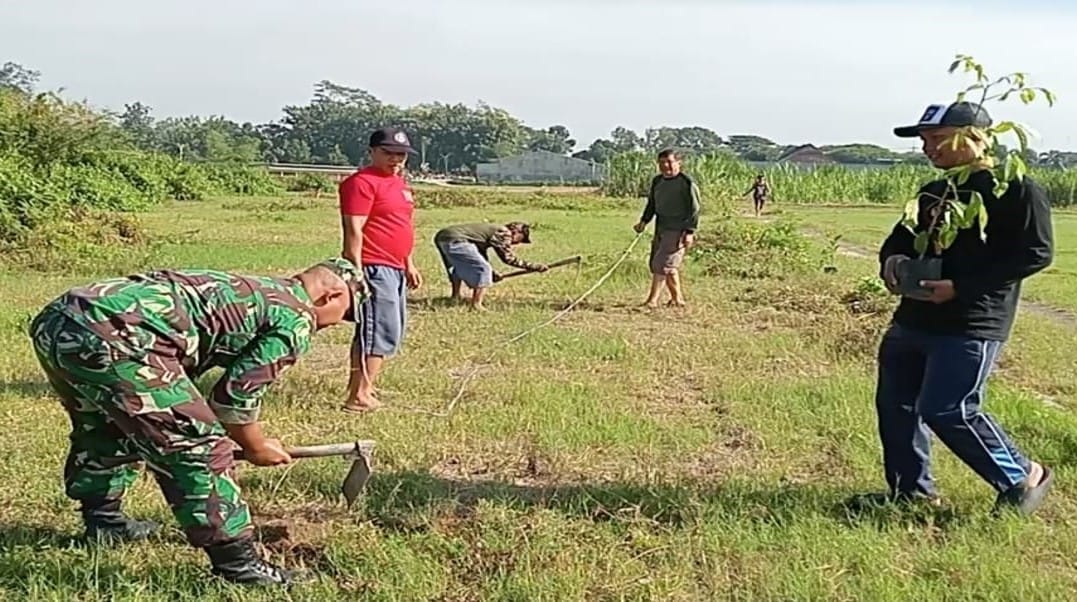 Peduli Lingkungan Sertu M. Ayub Bersama Warga Tlumpu Laksanakan Penghijauan Tanam Pohon Akasia Peduli Lingkungan Sertu M. Ayub Bersama Warga Tlumpu Laksanakan Penghijauan Tanam Pohon Akasia