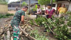 Anggota Koramil 0808/06 Srengat Bersama Warga, Polsek Dan BPBD Gotong Royong Bersihkan Pohon Tumbang Di Desa Purwokerto
