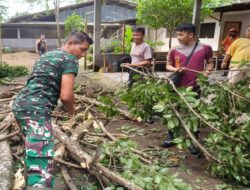 Anggota Koramil 0808/06 Srengat Bersama Warga, Polsek Dan BPBD Gotong Royong Bersihkan Pohon Tumbang Di Desa Purwokerto