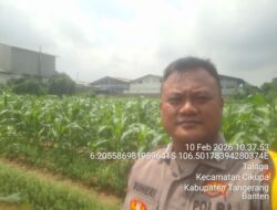 Bhabinkamtibmas Desa Talaga Laksanakan Kontrol Lahan Jagung, Dukung Program Ketahanan Pangan