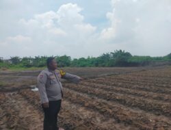 Bhabinkamtibmas Polsek Cikupa Lakukan Pengecekan Penanaman Jagung Hibrida Program 1 Desa 2 Hektare Kwartal I 2026