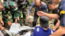 TNI Temukan dan Evakuasi Kecelakaan Pesawat Pelita Air di Pegunungan Krayan Timur, Kalimantan Utara