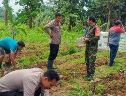 Polsek Cikupa Laksanakan Penanaman Jagung Hibrida Program 1 Desa 2 Hektare Triwulan I 2026