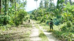 TMMD Ke-127 Kodim 1804/Kaimana Terus Genjot Pembukaan Jalan Menuju Kampung Marsi