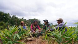 Disela Kesibukan, Satgas TMMD KE-127 Kodim 0808/Blitar Jalin Keakraban Bersama Petani Di Desa Krisik