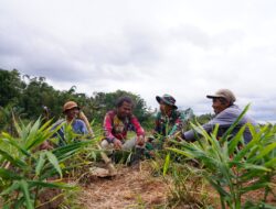 Disela Kesibukan, Satgas TMMD KE-127 Kodim 0808/Blitar Jalin Keakraban Bersama Petani Di Desa Krisik