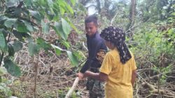 Kemanunggalan TNI dan Rakyat, Pratu Wisnu Taripino Bantu Warga Linggang Amer Cari Kayu Bakar