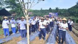 Pererat Sinergitas, Satgas Trisila 2026 dan Lanal Aru Gelar Olahraga Bersama, Penanaman Bibit Tomat, dan Penebaran Bibit Lele