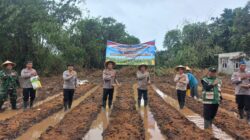 Polsek Cikupa Ikuti Zoom Meeting dan Penanaman Jagung Serentak Kuartal I Tahun 2026