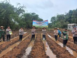 Polsek Cikupa Ikuti Zoom Meeting dan Penanaman Jagung Serentak Kuartal I Tahun 2026
