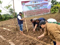 Bhabinkamtibmas Polsek Cikupa Hadiri Penanaman Jagung Hibrida Program 1 Desa 2 Hektare di Desa Sukanagara
