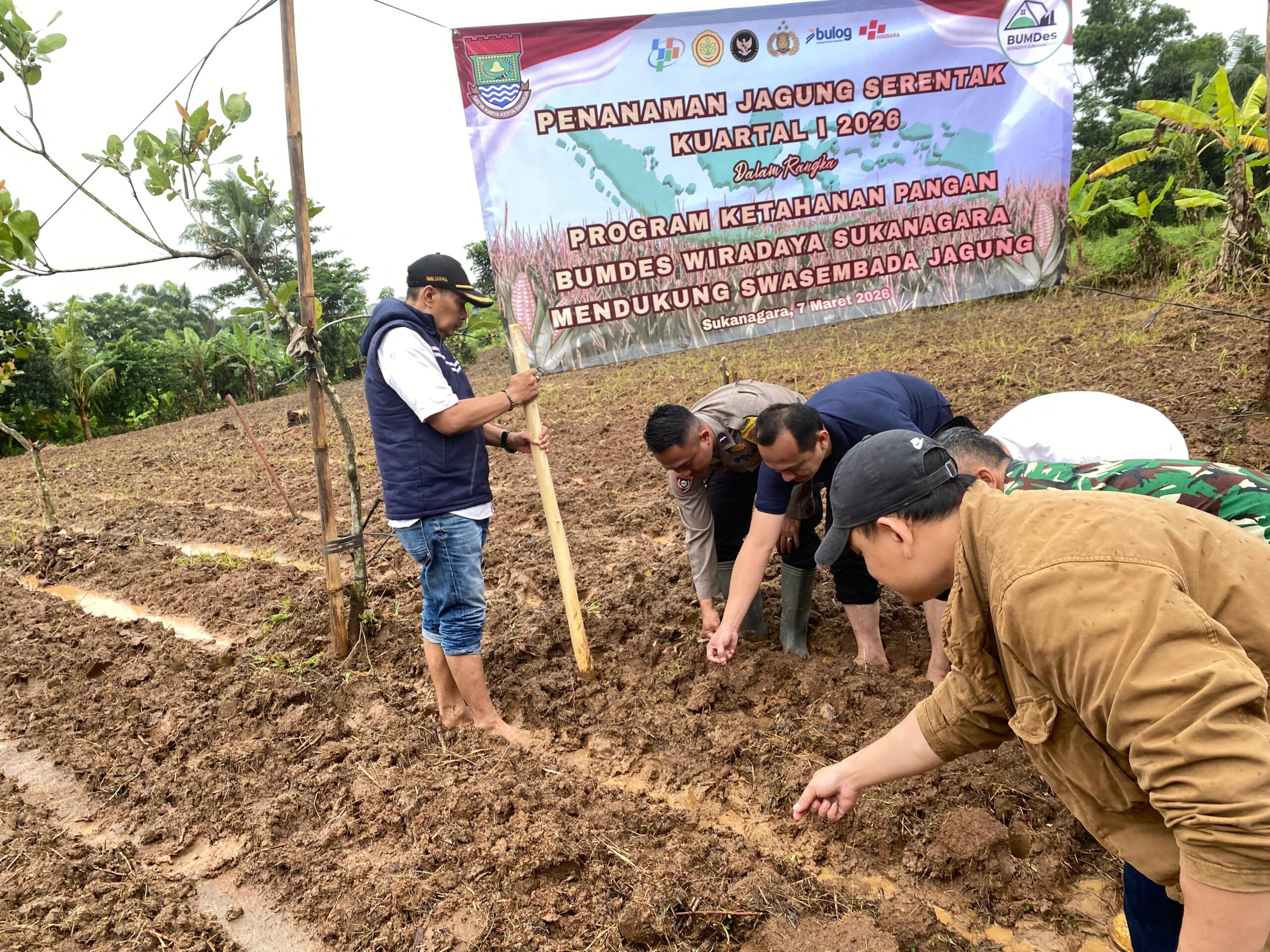 Bhabinkamtibmas Polsek Cikupa Hadiri Penanaman Jagung Hibrida Program 1 Desa 2 Hektare di Desa Sukanagara
