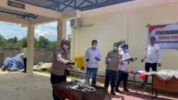 Komitmen Berantas Narkoba, Polda Papua Barat Daya Musnahkan 7,9 Kg Barang Bukti Ganja, Disaksikan Pejabat Terkait