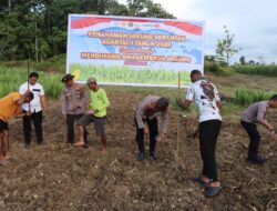 Polres Sorong Selatan Laksanakan Penanaman Jagung Serentak Kuartal I Tahun 2026 di Kampung Monmok