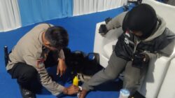 Respon Cepat Petugas Pospam Citra Raya, Korban Tabrak Lari Mendapat Pertolongan