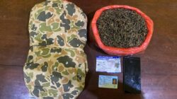Satresnarkoba Polresta Sorong Kota Gagalkan Peredaran 485 Gram Ganja dari Jayapura, Satu Tersangka Diamankan di Pelabuhan