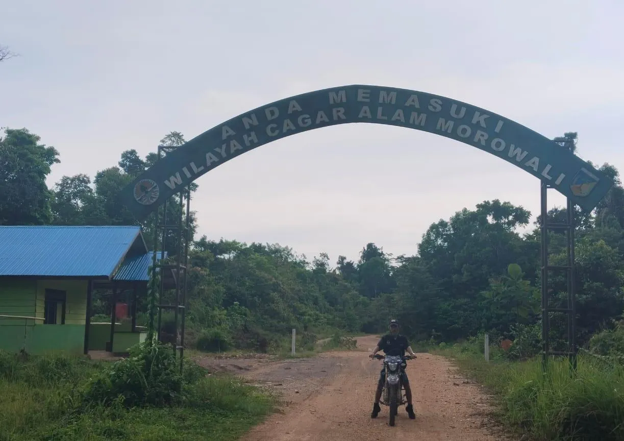 Penindakan Kayu di Morowali Utara Disorot, BKSDA Diduga Tebang Pilih