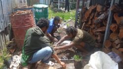 Kodim 1714/Puncak Jaya Bersama Rakyat Tanam Bibit Cemara Sebagai Generasi Mendatang Untuk Kabupaten Puncak Jaya