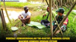 Pererat Kemanunggalan TNI-Rakyat, Babinsa Cipari Makmur Komsos dengan Petani
