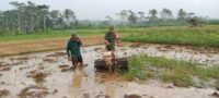 Dukung Swasembada Pangan, Babinsa Pohgajih Aktif Dampingi Petani Siapkan Lahan Sawah