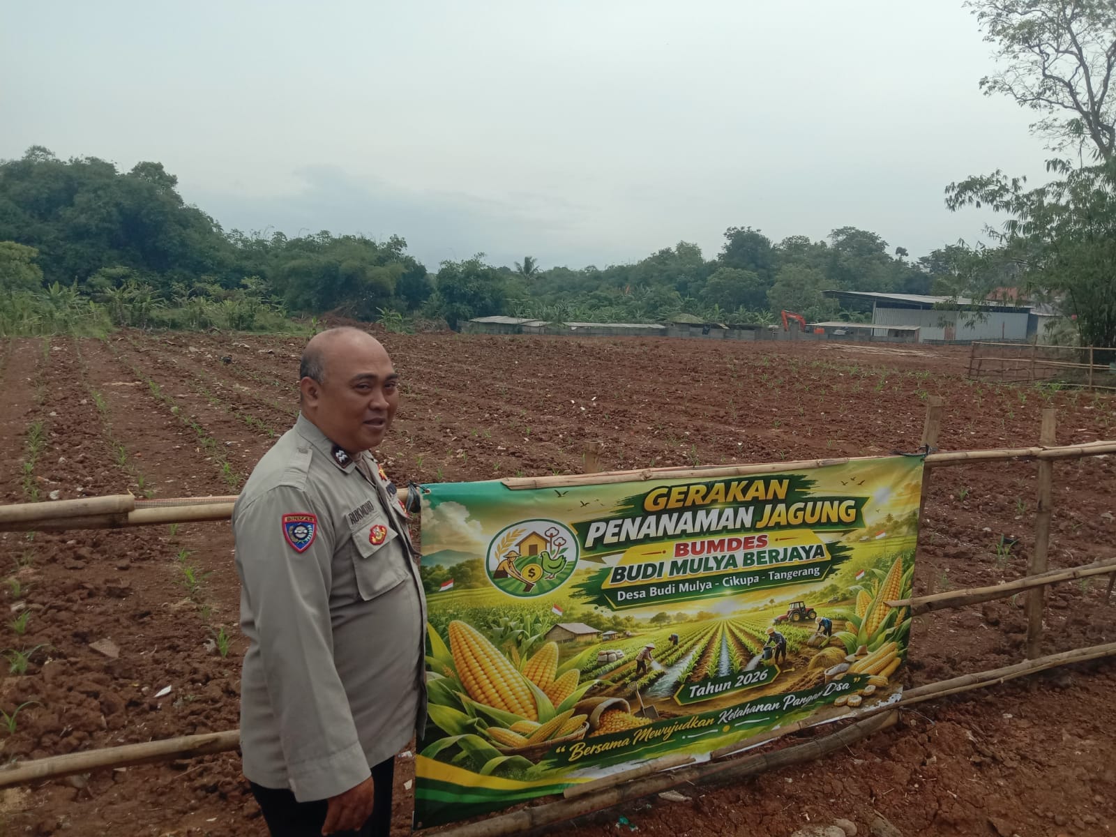 Bhabinkamtibmas Desa Budimulya Cek Lahan Jagung Hibrida Dukung Ketahanan Pangan