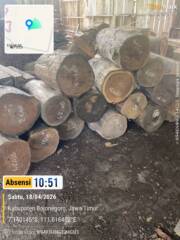 Ketiadaan Polisi Dipertanyakan: Ada Apa di Balik Operasi Perhutani?