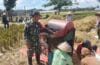 Wujudkan Ketahanan Pangan Nasional, Babinsa Ngadirenggo Dampingi Petani Panen Padi