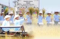 Sinergi Muspida Kota Blitar dalam Panen Raya, Wujudkan Kemandirian Pangan Daerah