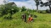Kepedulian Lingkungan, Babinsa Kedung Banteng Ajak Warga Lestarikan Alam