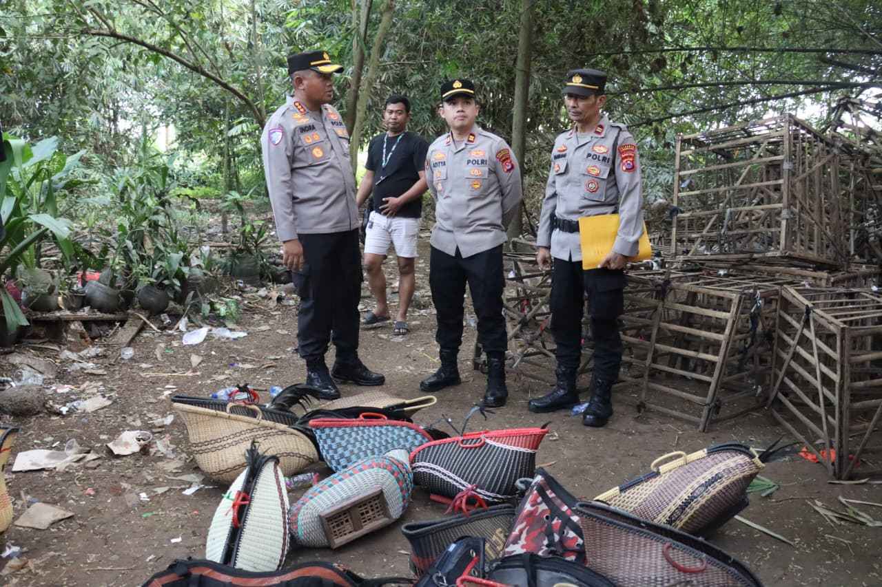 Polresta Tangerang Gerebek Judi Sabung Ayam di Jayanti, Dua Orang dan 28 Unit Motor Diamankan