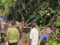 Bersama Warga, Satgas TMMD Ke-128 Kodim 1801/Manokwari Bersihkan Lahan 2 Hektare untuk Tanam Kakao