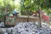 IMG-20260513-WA0059 Tmmd