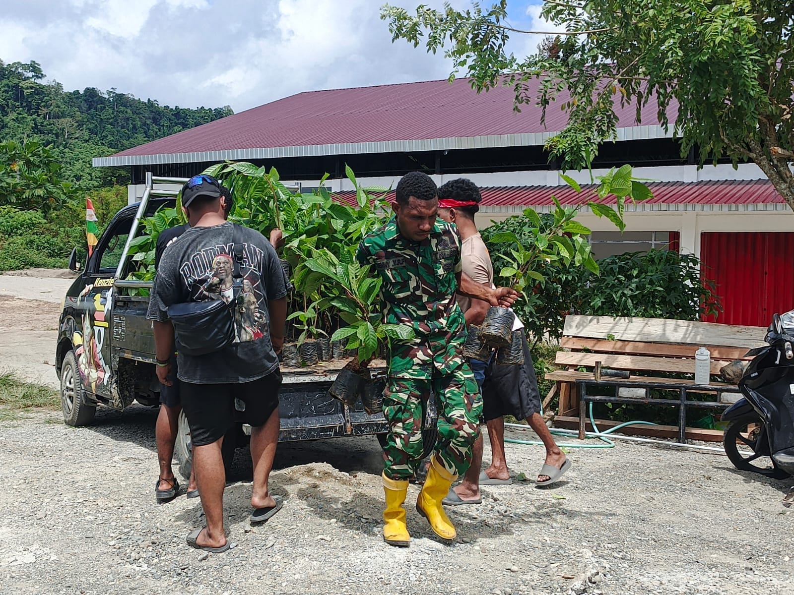 Penambahan Bibit Kakao dari PMK Tiba di Lokasi TMMD Ke-128 Kodim 1801/Manokwari