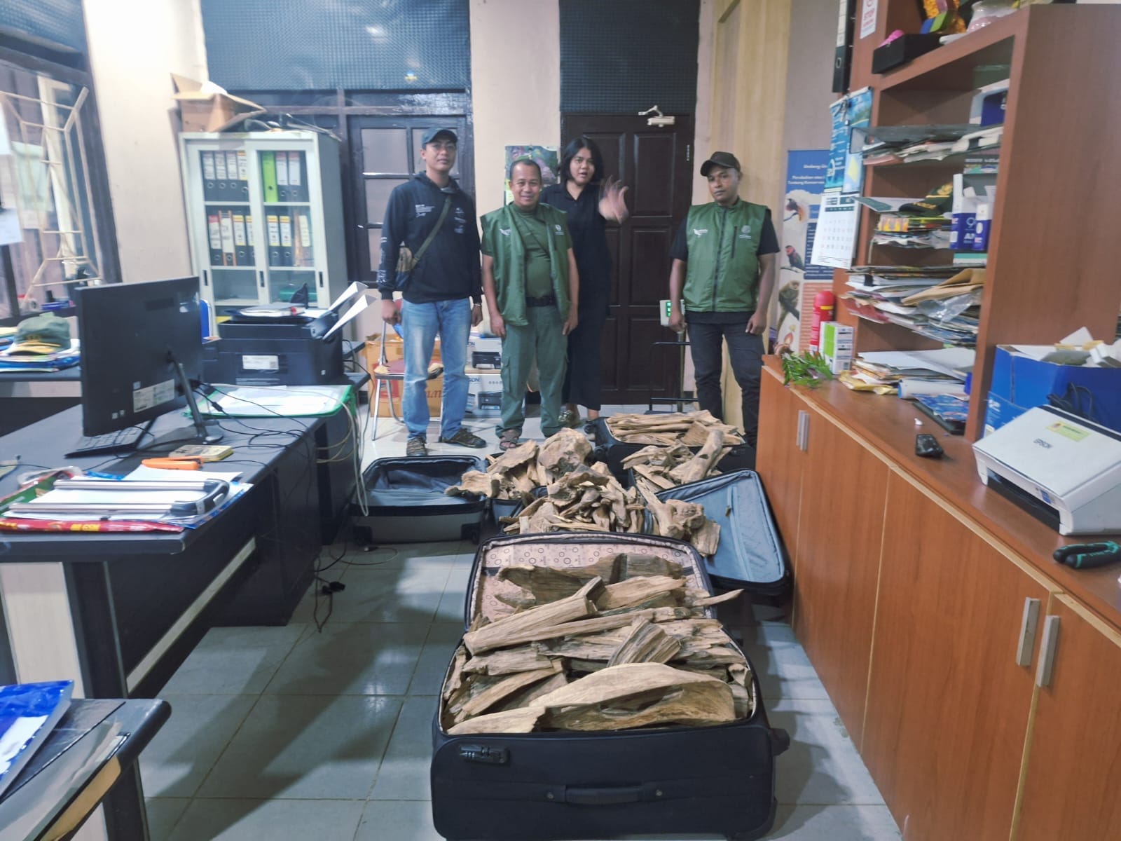Sinergitas TNI AL dan BBKSDA Papua Barat Daya Gagalkan Penyelundupan Kayu Gaharu