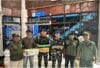 TNI AL dan BBKSDA Papua Barat Daya Gagalkan Upaya Penyelundupan Satwa Dilindungi