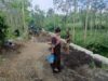 IMG-20260520-WA0178 Warga Apresiasi Kinerja Satgas TMMD dalam Pemasangan Paving di Desa Brabe