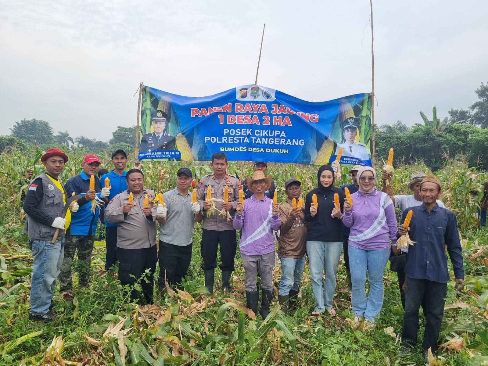 Kanit Binmas Polsek Cikupa Hadiri Panen Jagung Program Ketahanan Pangan di Desa Dukuh