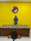 Satresnarkoba Polresta Sorong Kota Gagalkan 4,8 Kilogram Ganja, Satu Tersangka Diamankan