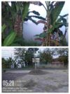 IMG_20260529_073540 Asap Tebal dan Bau Gas dari Gudang PT NESR Gegerkan Kawasan Selogabus