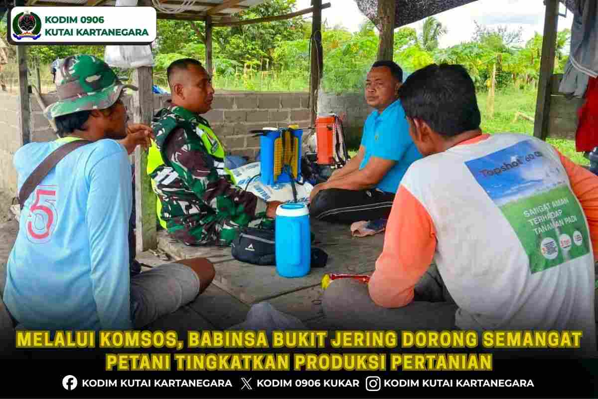 foto website (1) Melalui Komsos, Babinsa Bukit Jering Dorong Semangat Petani Tingkatkan Produksi Pertanian