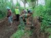 01 Babinsa Karang Gondang Bersama Warga Gotong Royong Bersihkan Jalan Akses Lahan Pertanian