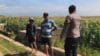 Polisi Turun ke Lahan Jagung di Ketapang, Perkuat Ketahanan Pangan Nasional